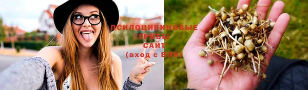 альфа пвп Верхний Тагил