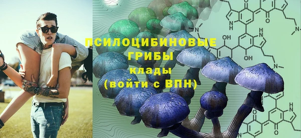 марки lsd Белая Холуница