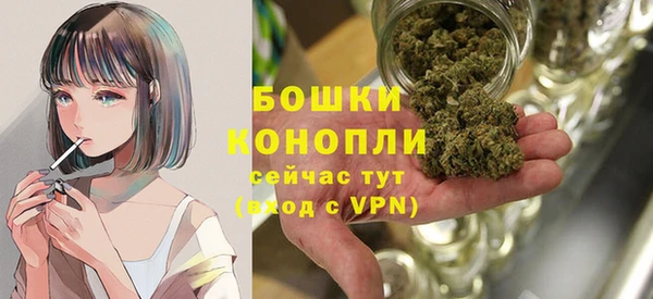 винт Бикин
