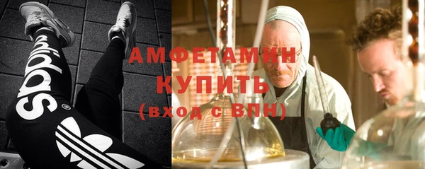 винт Бикин
