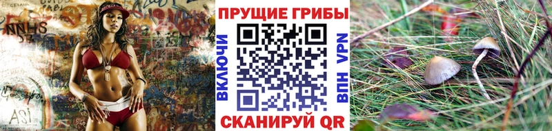 купить наркотики сайты  Верхний Уфалей  Галлюциногенные грибы Magic Shrooms 